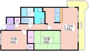 カワデンセントリックハイツの物件間取画像